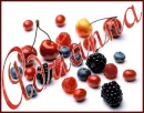 Berries ~ Adrianna