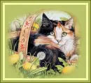 cat in basket