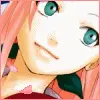 Sakura blossoms