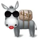 sexy donkey