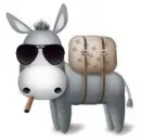 gangsta donkey