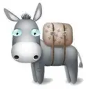 donkey
