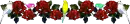 Rose-birds