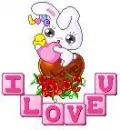 I love you