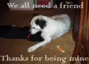 Thanks for being a frined