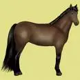 a horse from howrse.com