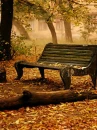 automne