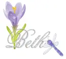 dragonfly beth