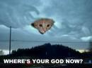 kitty in the sky