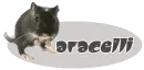 Aracelli