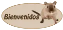 Bienvenidos