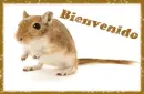 Bienvenido
