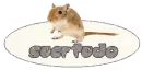 Suertudo