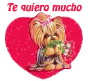 Te quiero mucho