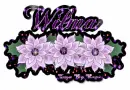 Wilma
