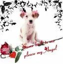 My Angel