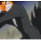 Ichigo