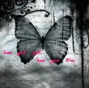 butterfly love your life 