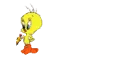 little tweety / Lucas