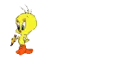 little tweety / Nicolas
