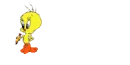 little tweety / Zineddine