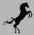 the black horse