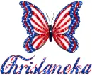 Patriotic Butterfly - Christaneka