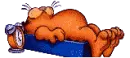 Garfield sleeps  