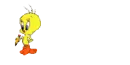 little tweety / Vianney