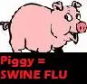 Swine Flu