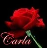 CARLA-ROSE ICON