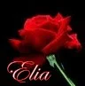 ELIA-ROSE ICON