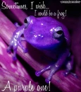 i wish i could be a purple frog