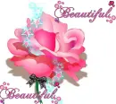 Pink rose