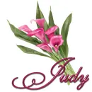 Pink Lily: Judy