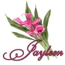 Pink Lily: Jayleen
