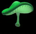 Green Mushroom