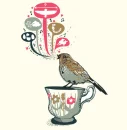 Song Bird