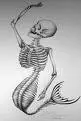 Mermaid Skeleton
