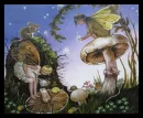 Fairy Girls