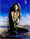 Mermaid's Baby