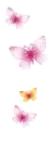 BUTTERFLYS