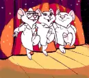 Dancing mice
