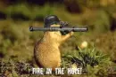 funny