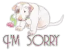 I'm sorry
