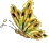 Yellow Butterfly