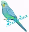 Sabrina Blue Bird