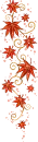 Maple Leaf~