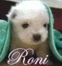RONI WITH CUTE PUPPY