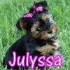 JULYSSA WITH CUTE YORKIE PUPPY